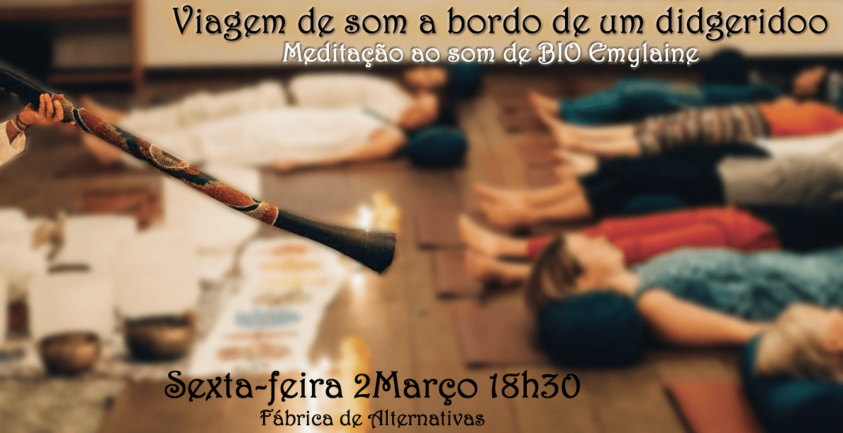 Viagem de som a bordo de um didgeridoo